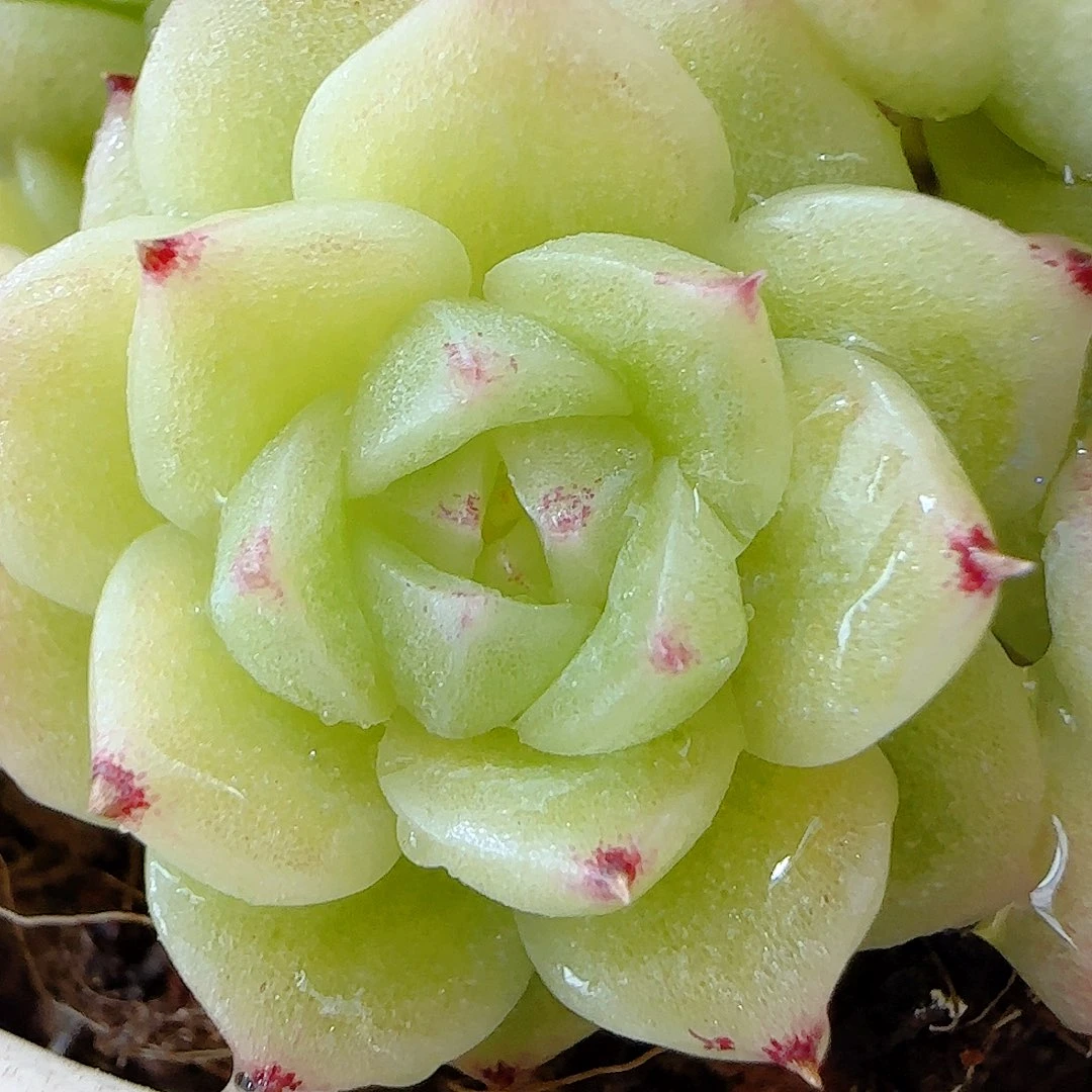 i***”【闪购商品】0820-60（ppt-68）