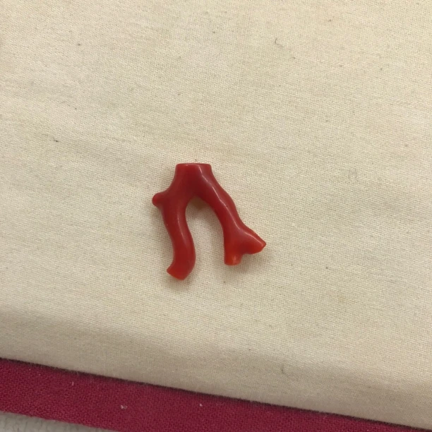 纯天然珊瑚阿卡枝子