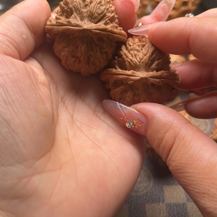 核桃40白狮子文玩