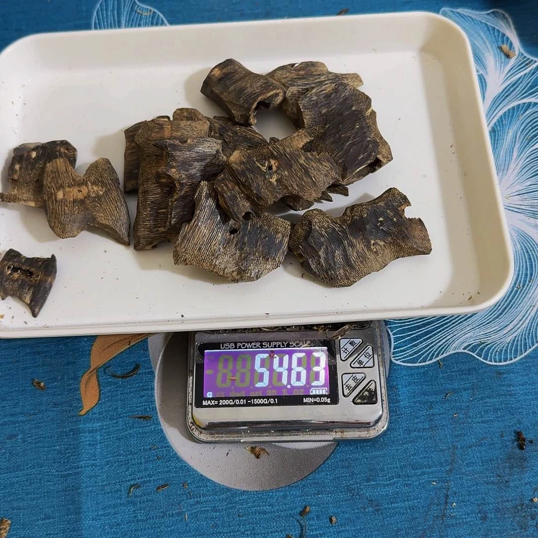 沉香沉香碎屑汪**你奇楠沉香透顶绿块料50克