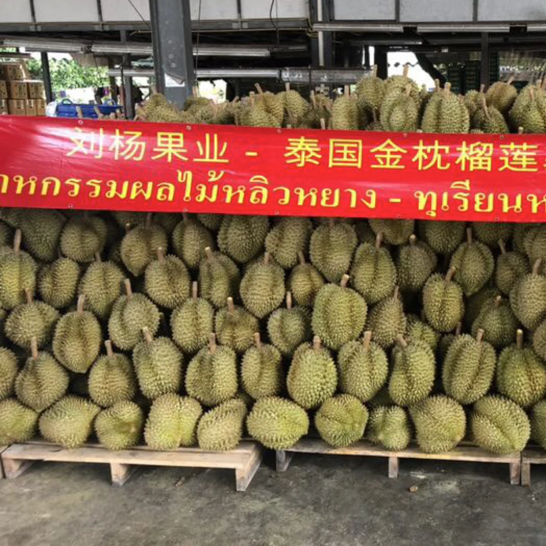 一果一拍，新鲜泰国榴莲现拨肉三斤以上核大小不均匀（不包口感，售后有标准，直播间问好下在下单）金枕泰国