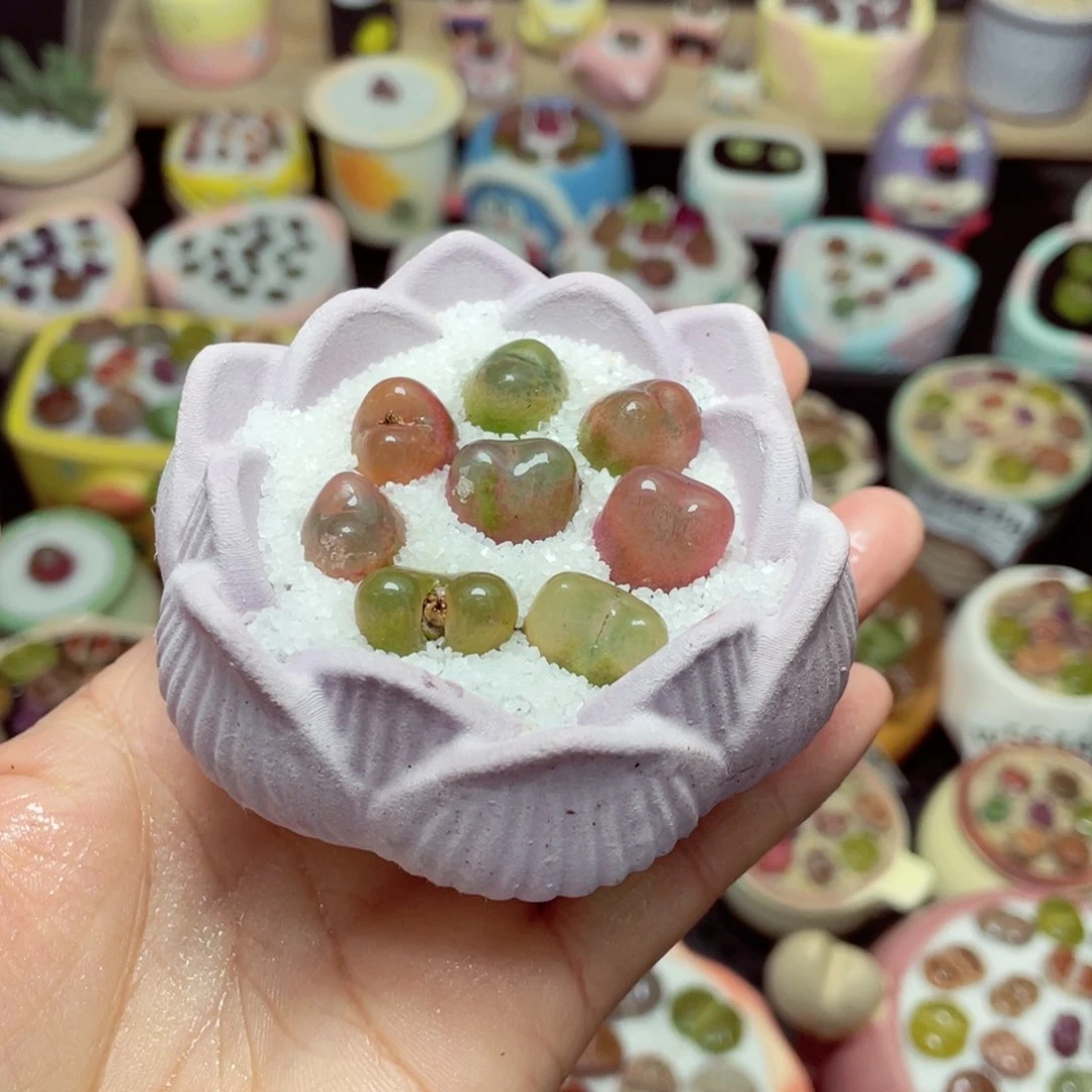 w5653 -零下地区拍保温箱-15支持寄养