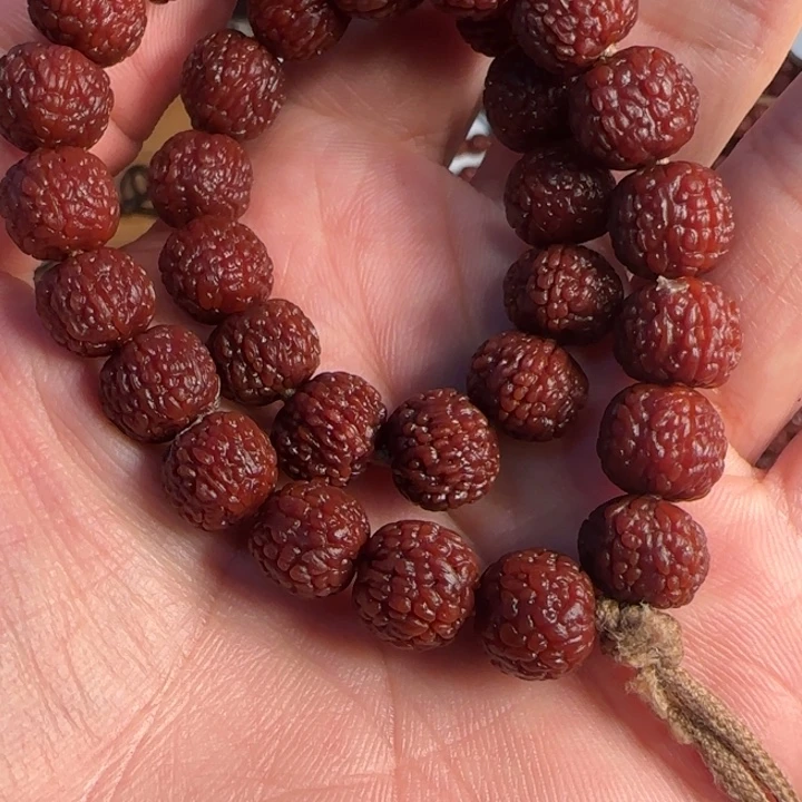 金刚菩提吊坠凤羽龙10左右