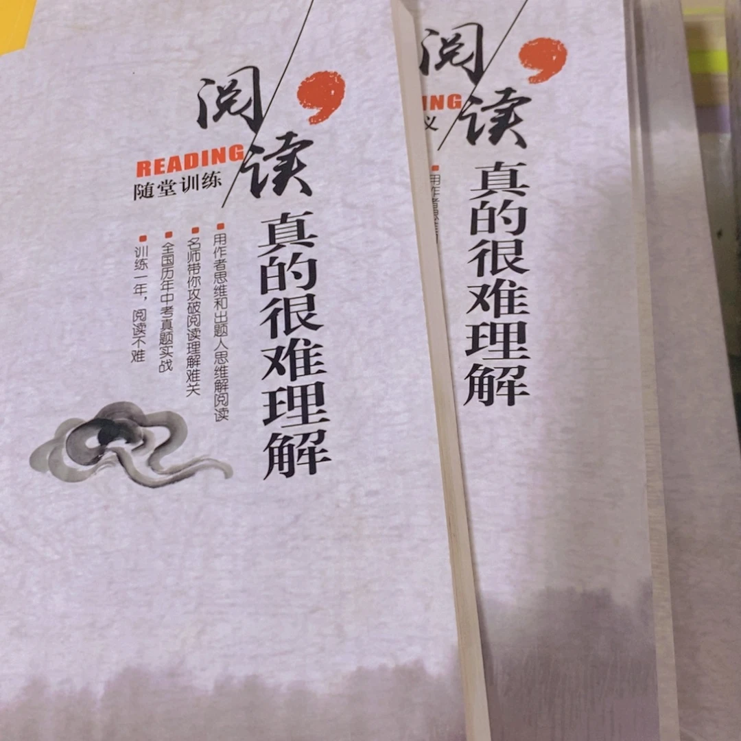 阅读真的很难理解两本一套