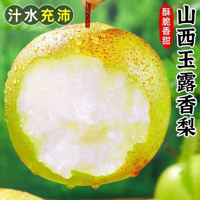 【京东包邮】山西隰县玉露香梨脆甜水果新鲜当季酥梨子