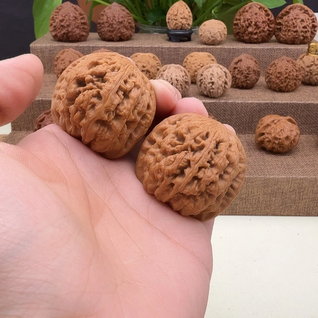 ****g全品大粗筋41/42/38