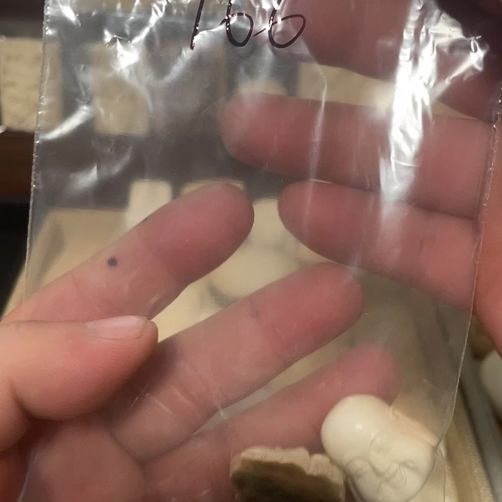 嘎***伙猛犸象牙其他天然猛犸牙雕刻品