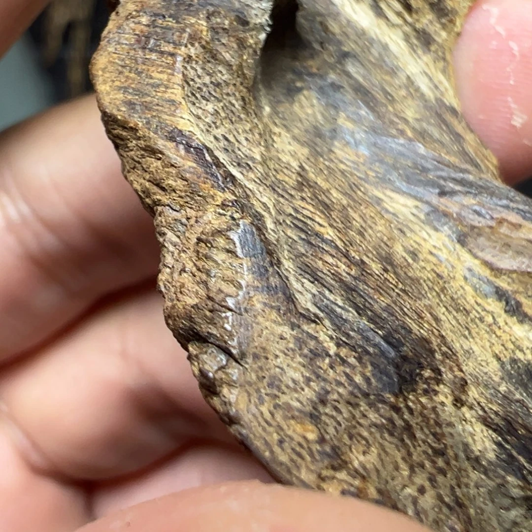 银***徐沉香沉香碎屑海南沉水包头6.07g