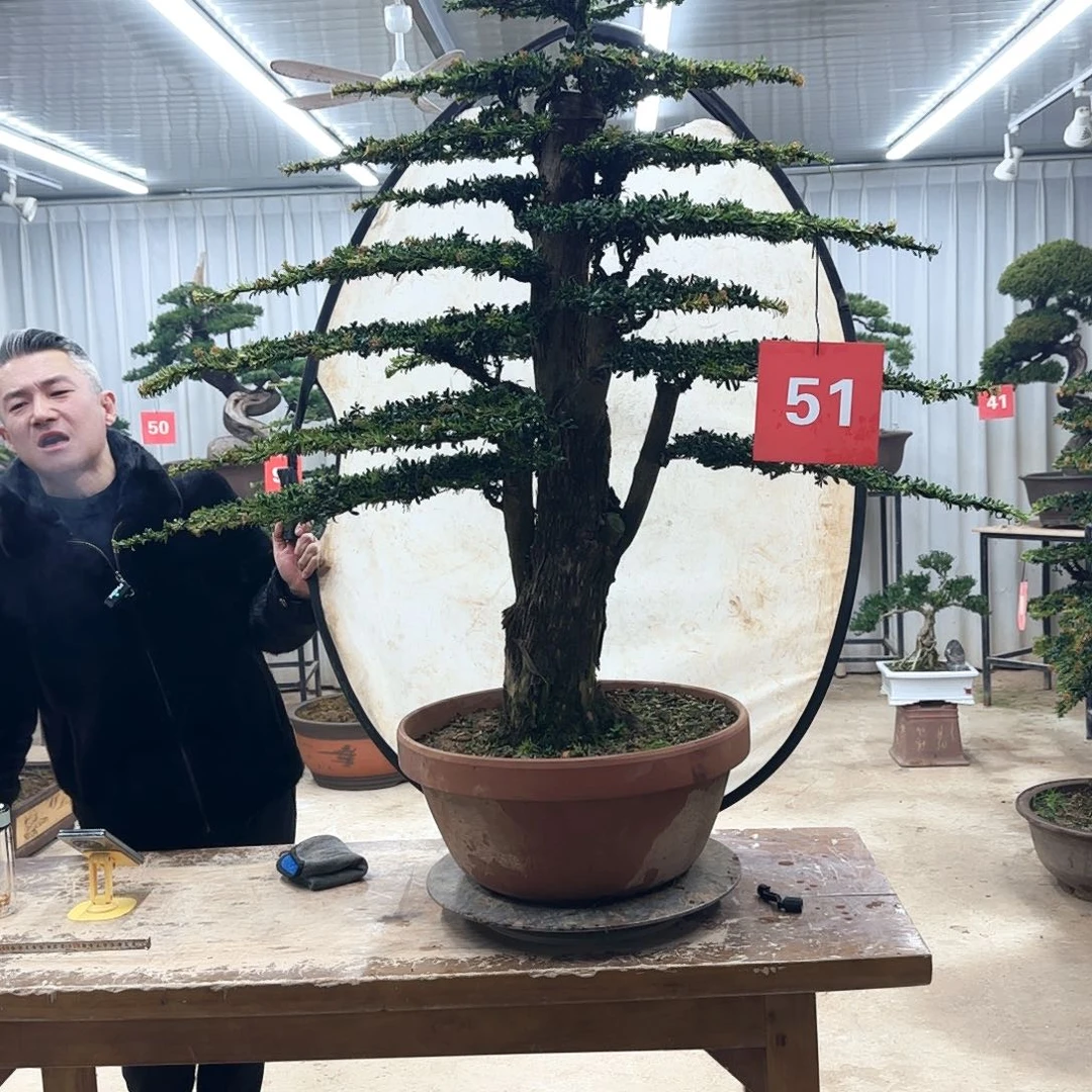 提***份无花朵0000000000000000