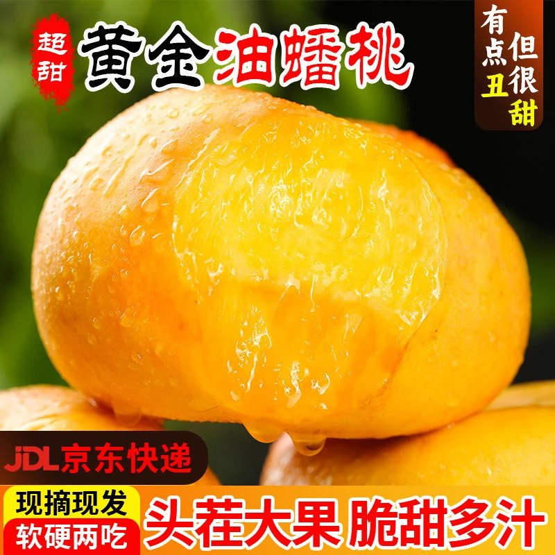 沃野农乡|黄金油蟠桃黄油蟠桃黄油桃扁桃应季产地新鲜水果黄蟠桃