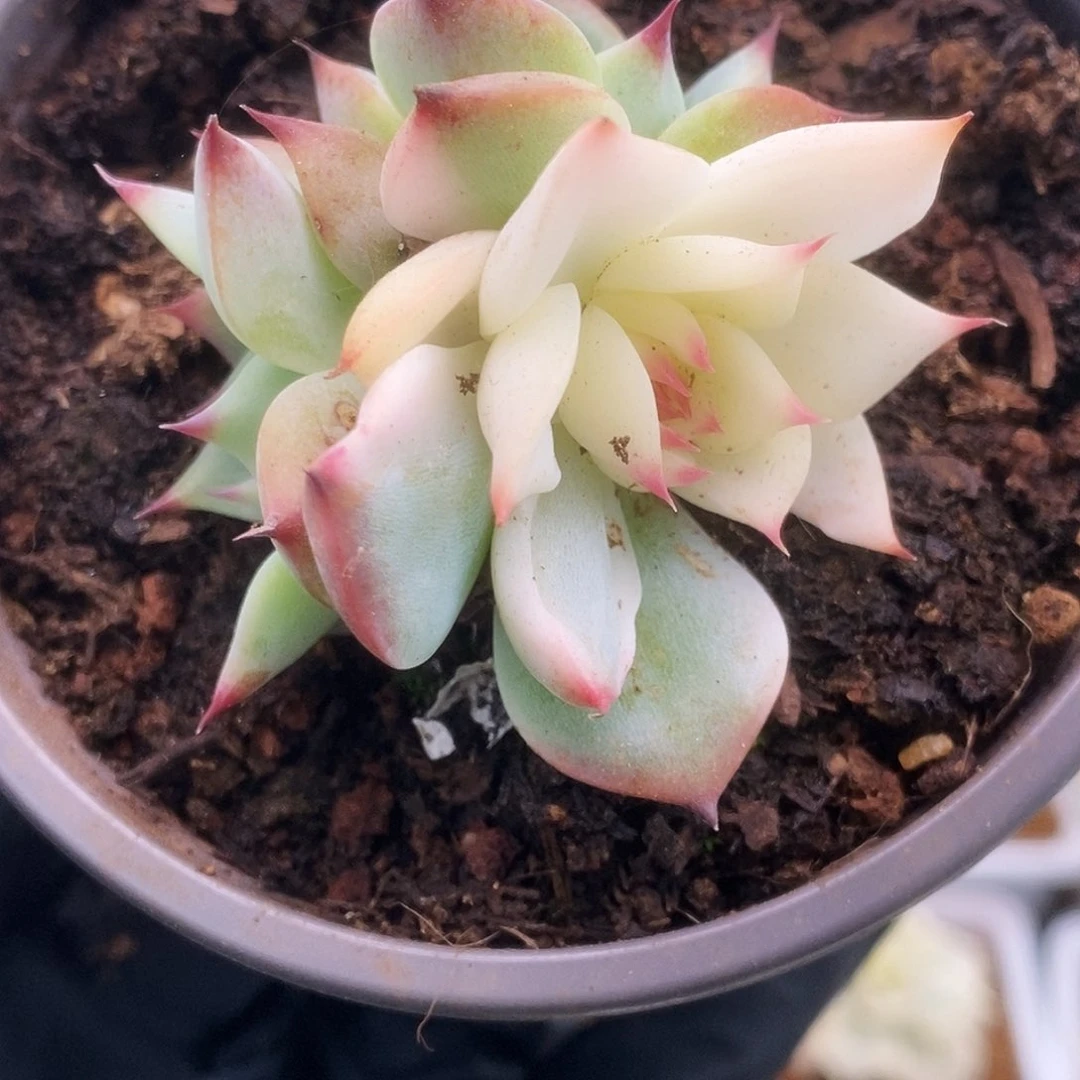 012锦锦锦锦锦锦锦锦锦