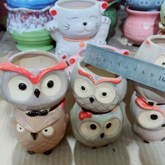 红陶111111111111111111111