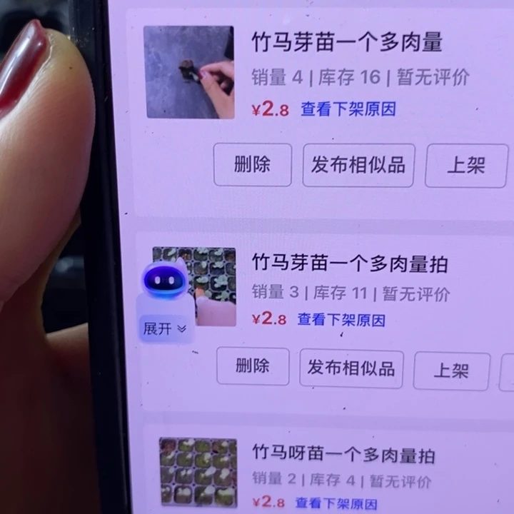 竹马芽苗一个多肉