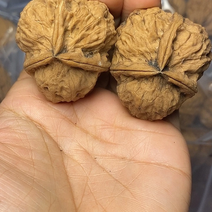 文玩核桃把件云南铁核桃44