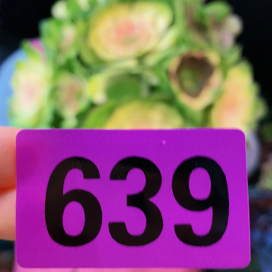 ssssssssssssssssssssssssss639