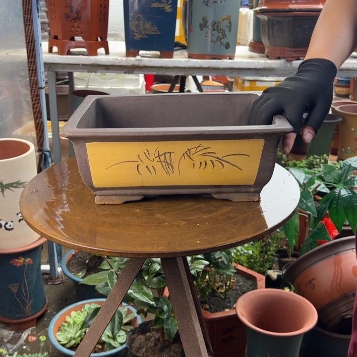 31黄马槽花盆花盆花盆