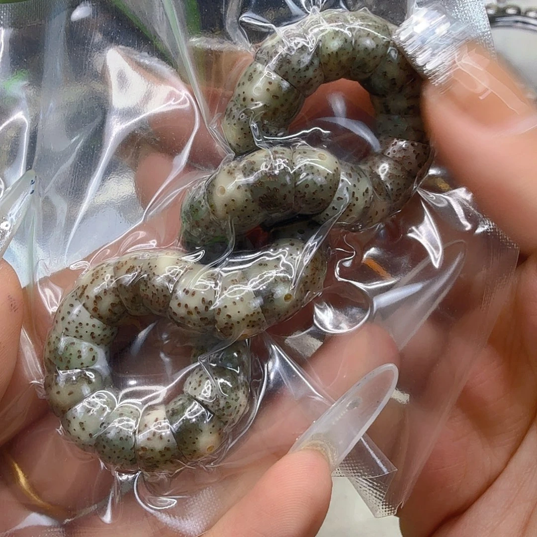 手串星月菩提27卓越星月菩提猪大肠10单圈