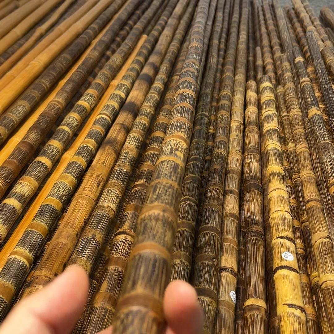 兵***哥竹精美金丝实心竹1.2米长直径2cm