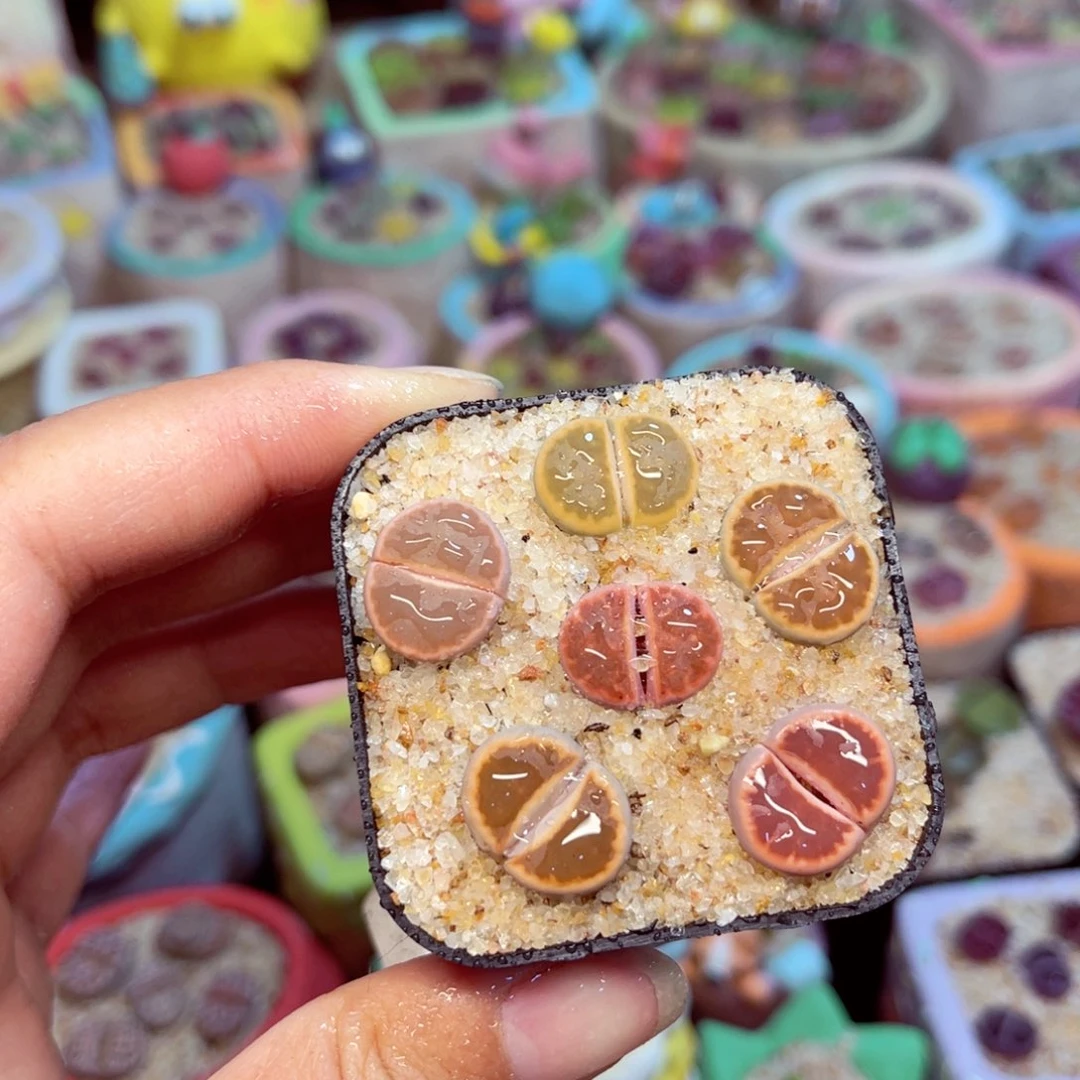 306. 5677887666887567888