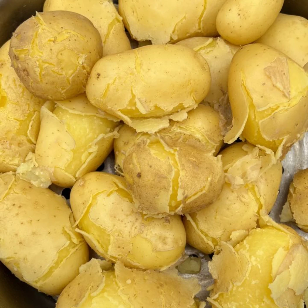 甘肃定西高原黄心土豆（籽种）