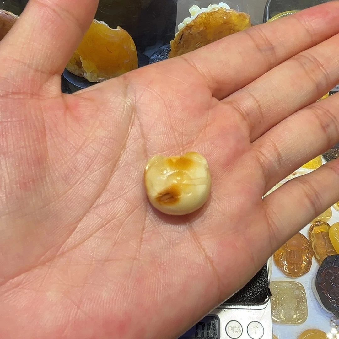 未镶嵌颈饰琥珀熊