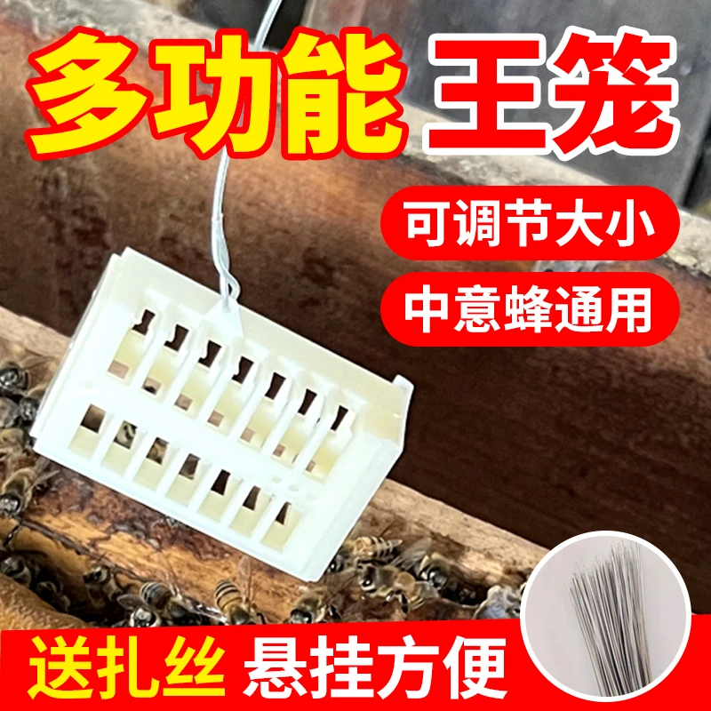 多功能王笼中意蜂通用关蜂王防蜂群飞逃介王关王笼养蜂工具