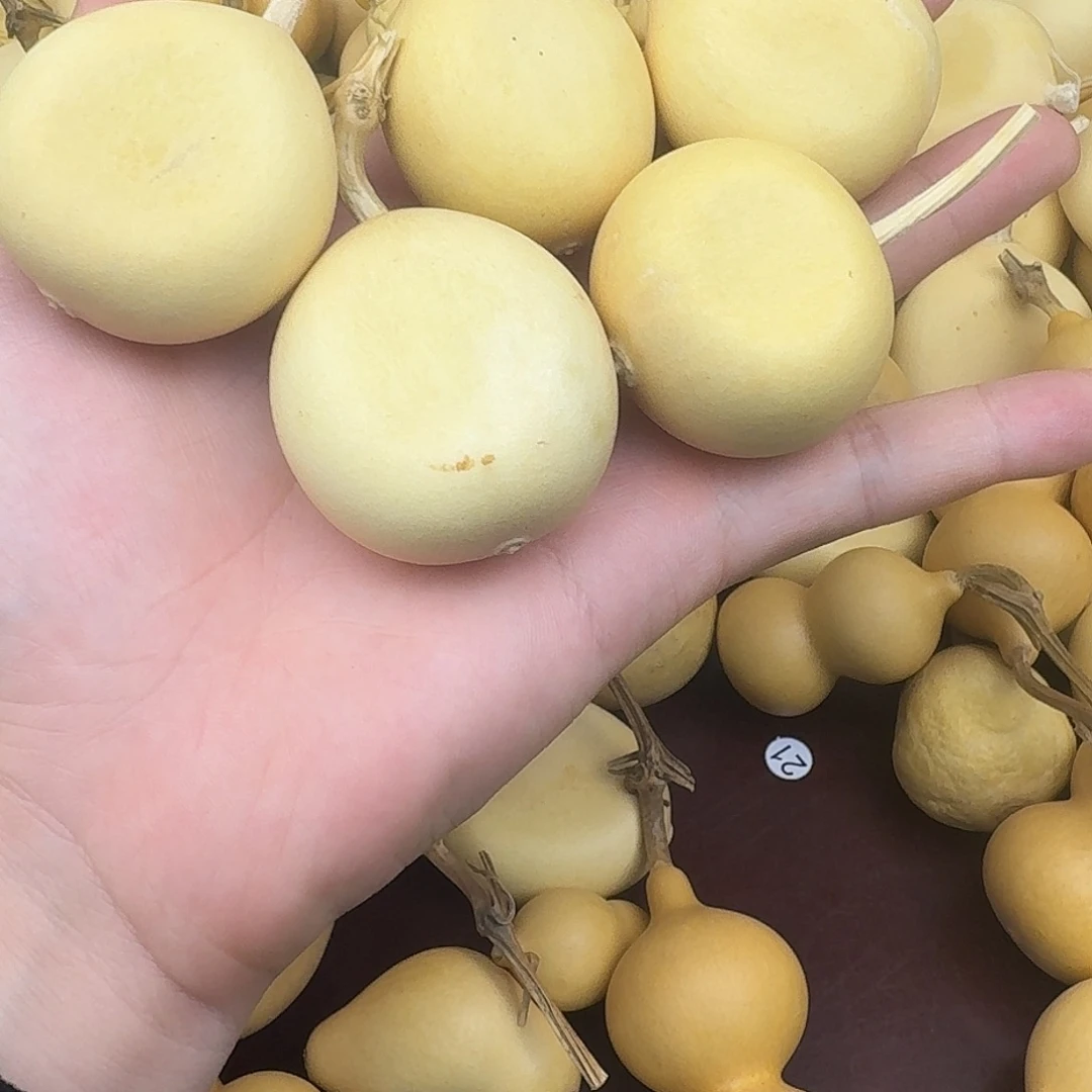 下***人直播间葫芦专属链接1