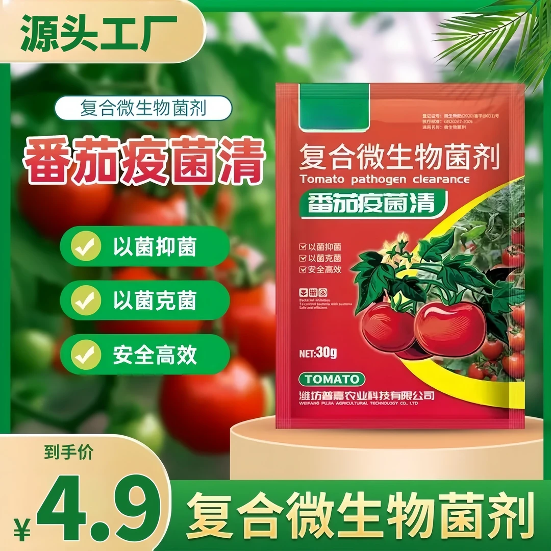 4·9五包【番茄疫菌清】复合微生物菌炭疽灰霉白粉霜霉果腐黑斑早疫