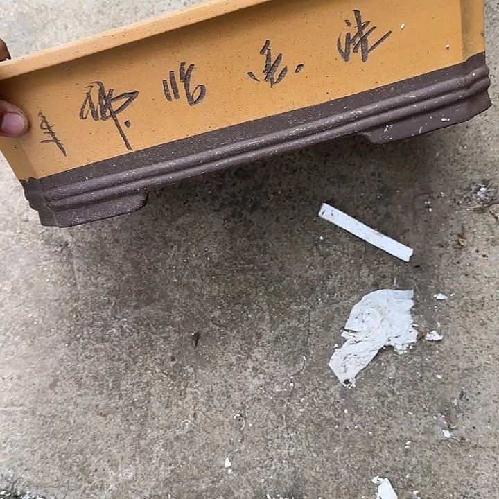 不用来咯哦啦啊哦啊