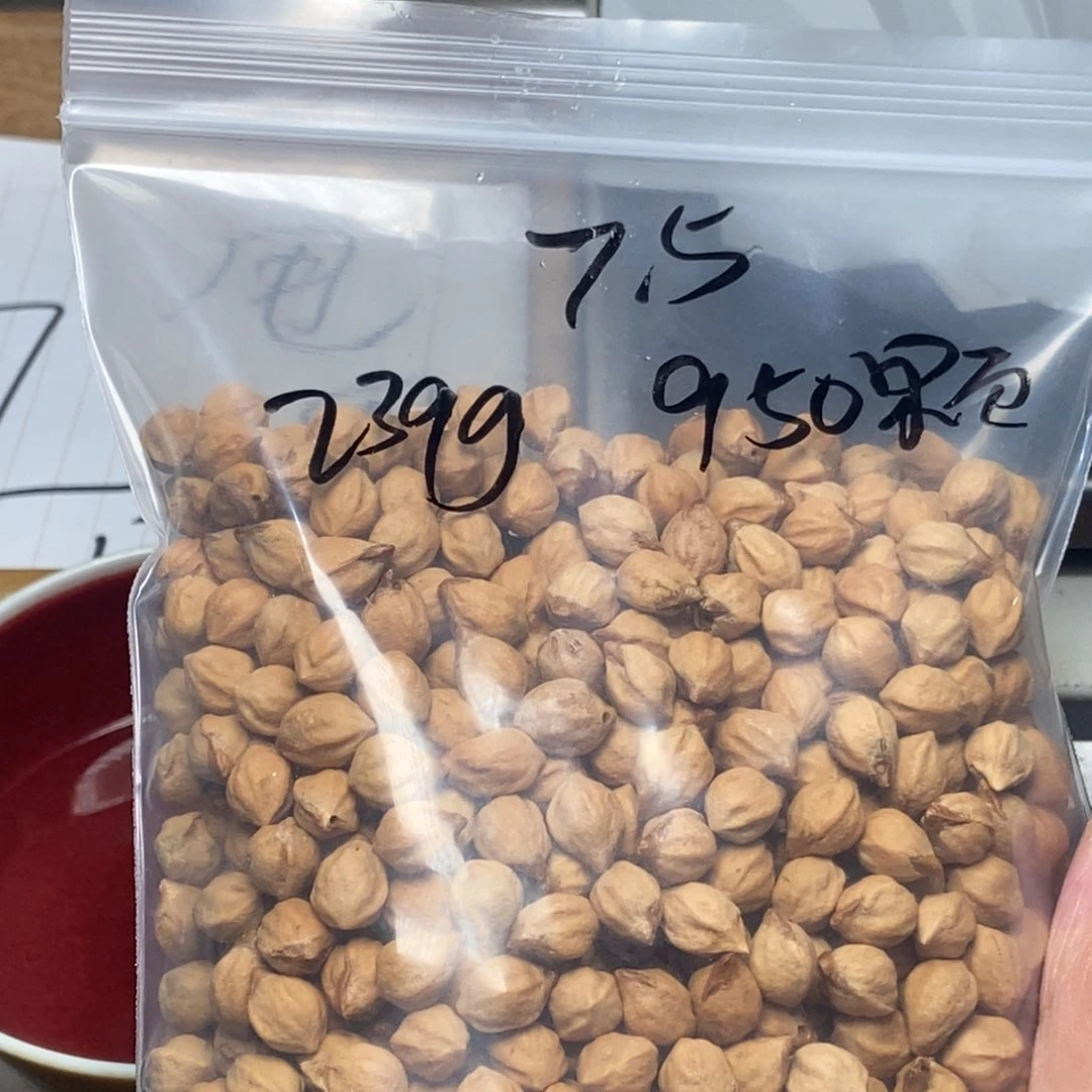 柏香籽/百香籽吊坠