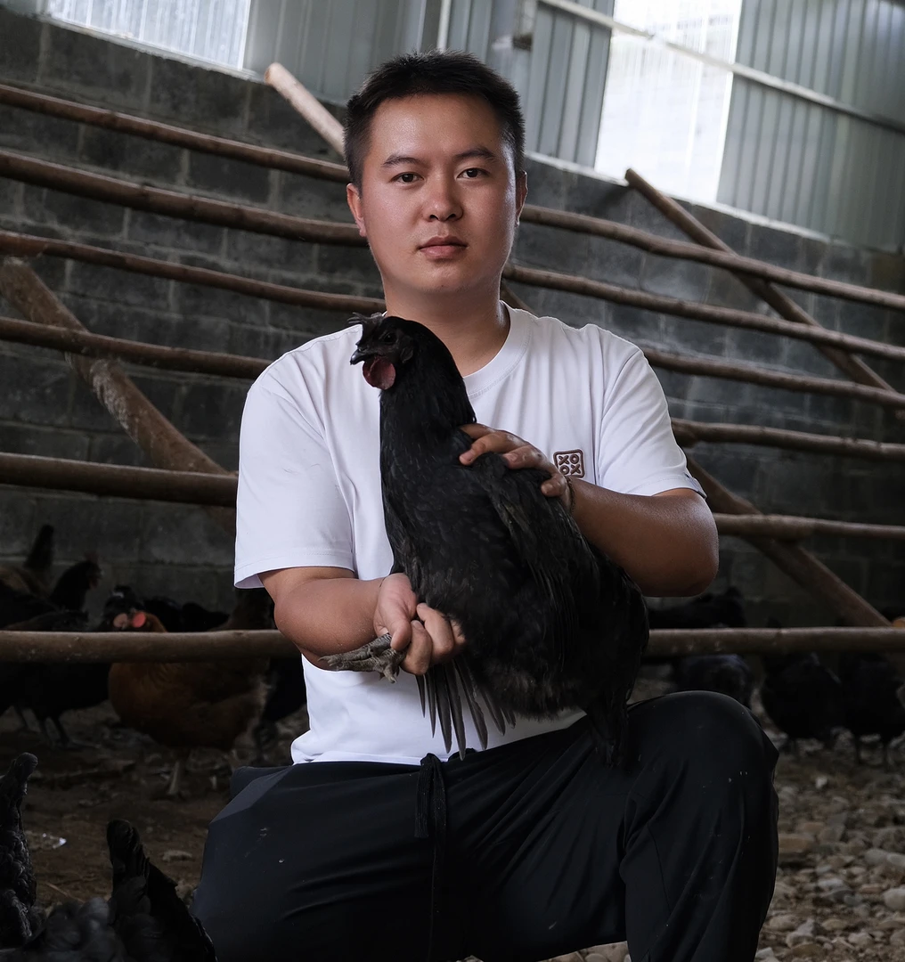 云南农村散养土鸡肉汤鲜味美