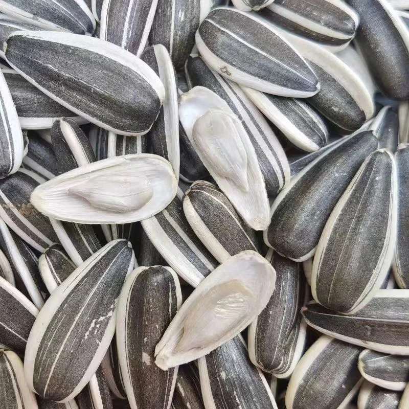 [金诺代卖]2025年新货大颗粒原味葵花籽新鲜瓜子追剧零食熟瓜子