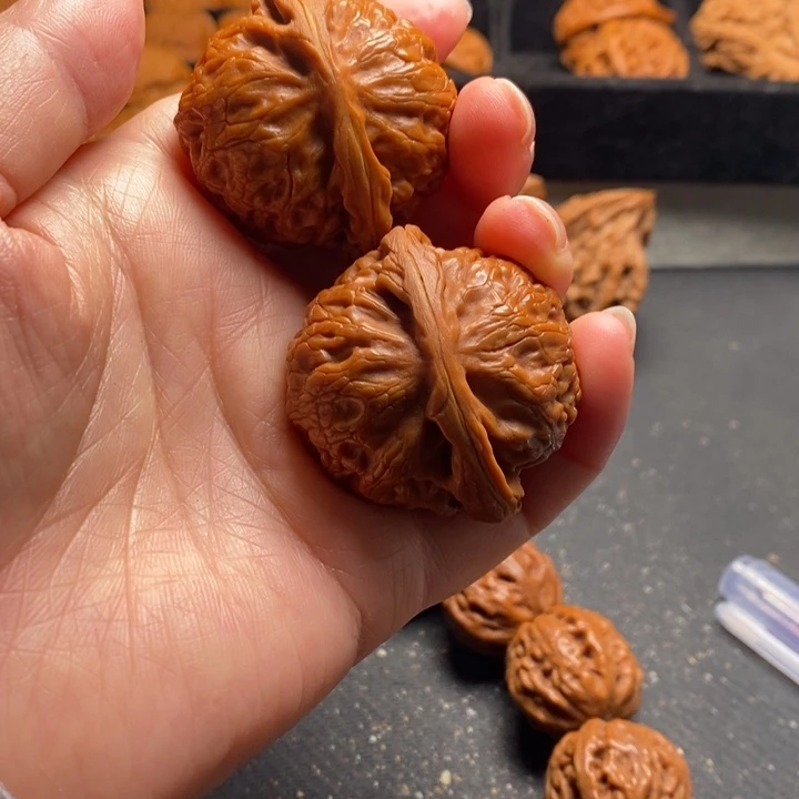 秦岭野生11111111111