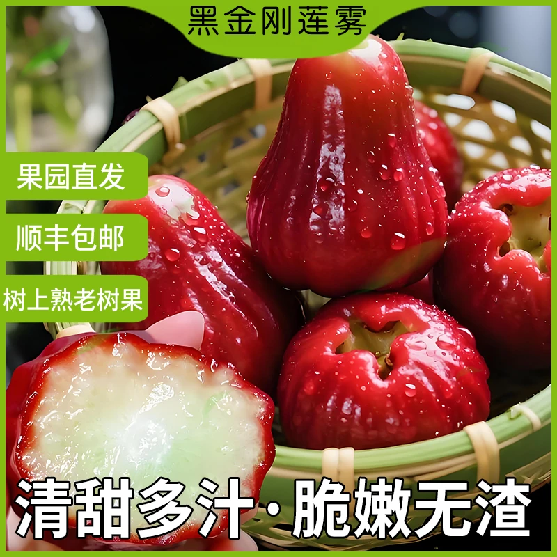 【悦鲜盒子】海南黑金刚莲雾3斤 单果110g起