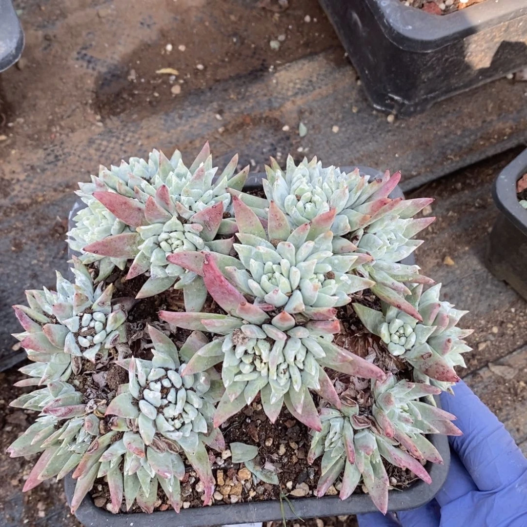 1973哈哈哈哈哈哈哈哈