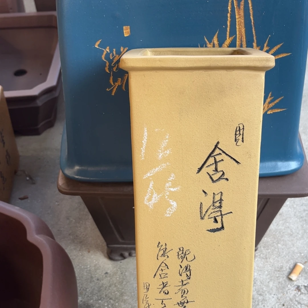 花盆紫砂盆景艺术