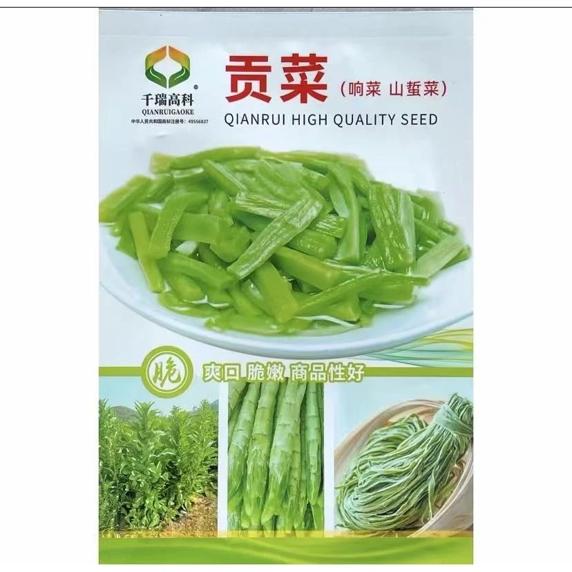 【贡菜种子】四季种植盆栽地栽阳台小院种植