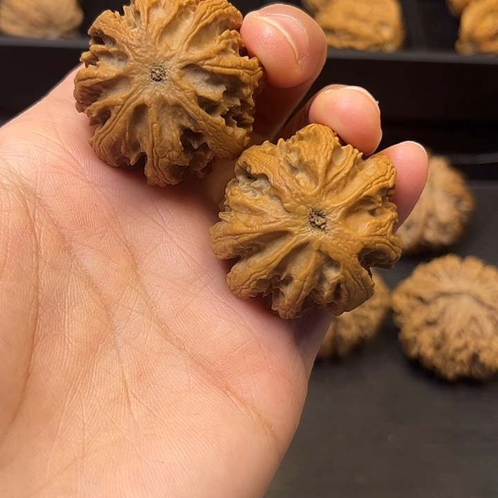 核桃秦岭突突突突突突7