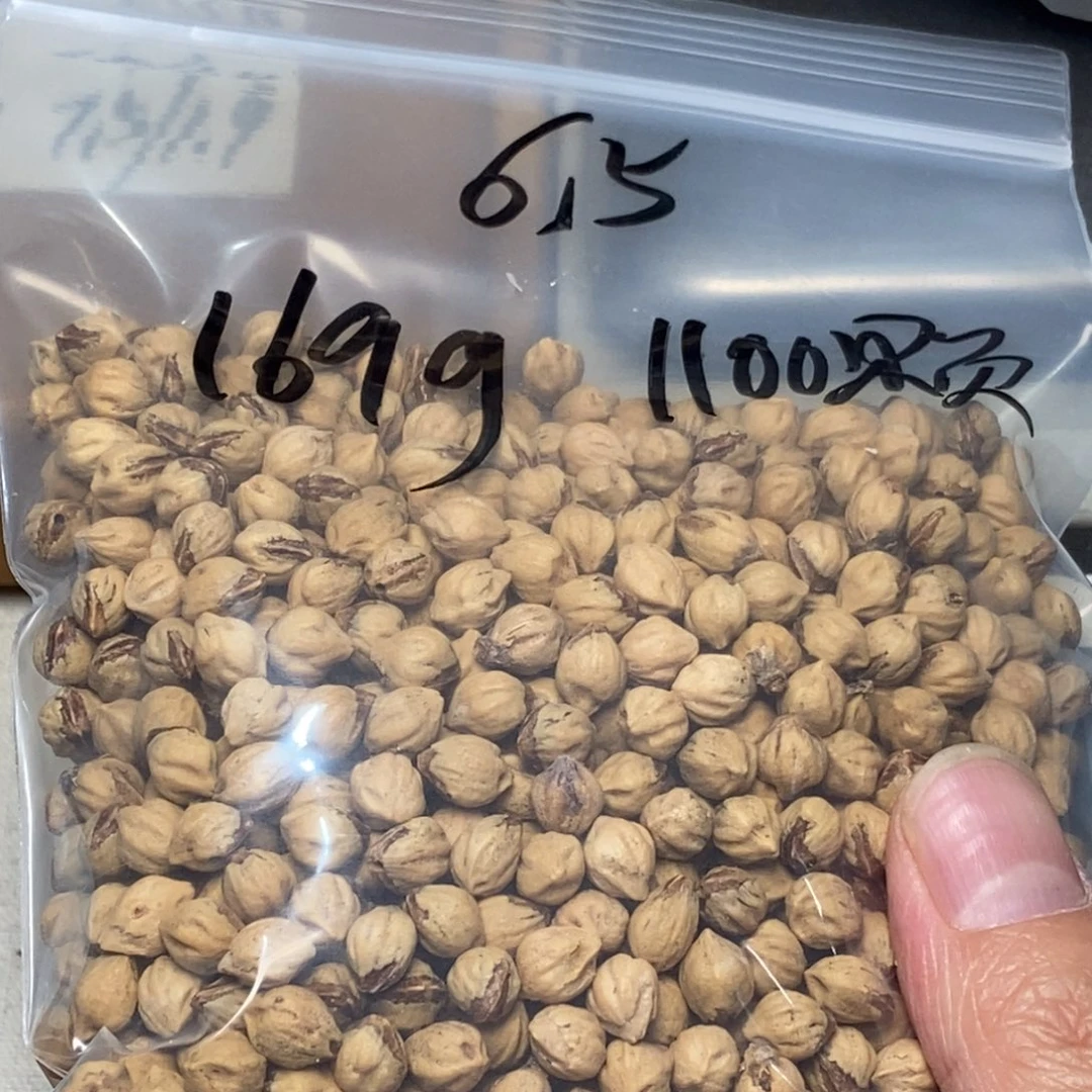 柏香籽/百香籽吊坠