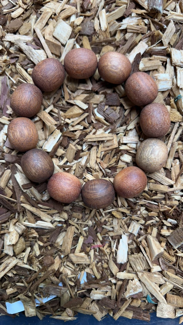 沉香x53 福莱精选高端文玩