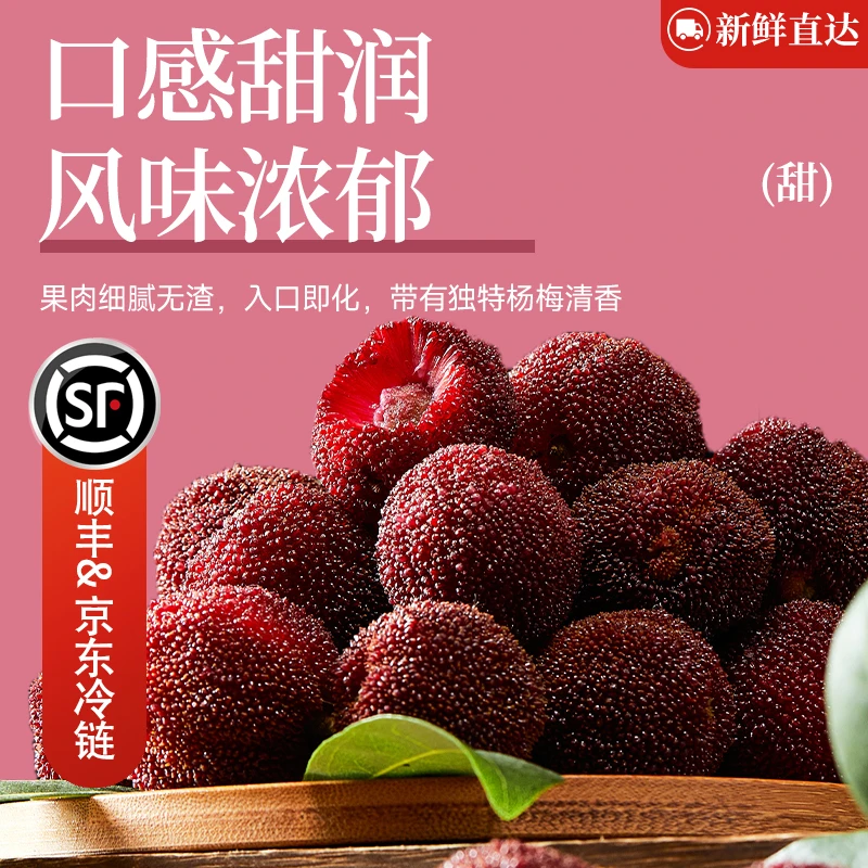 【2025年第一口杨梅】浙江仙居杨梅东魁杨梅头茬果大果现摘氮气锁鲜装，单颗18-23克新鲜杨梅杨梅同城送浙江省