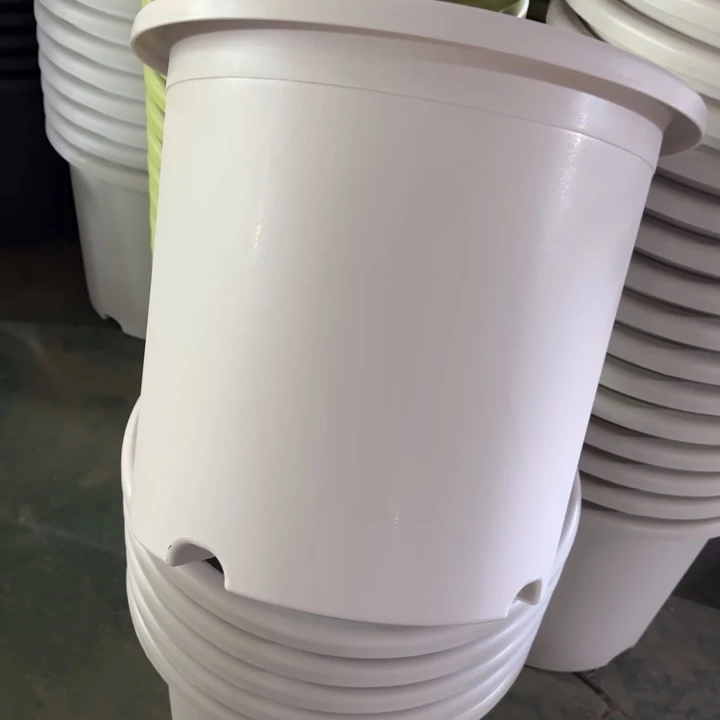 微瑕9#口径46无托灰白3个