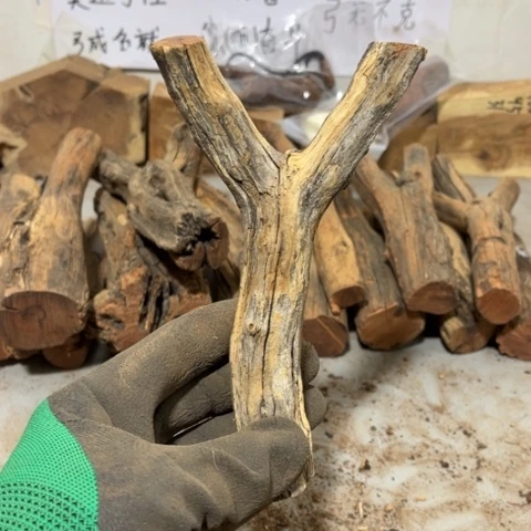 大果紫檀（缅甸花梨）凉