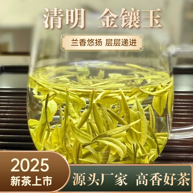 2025年金镶玉白茶
