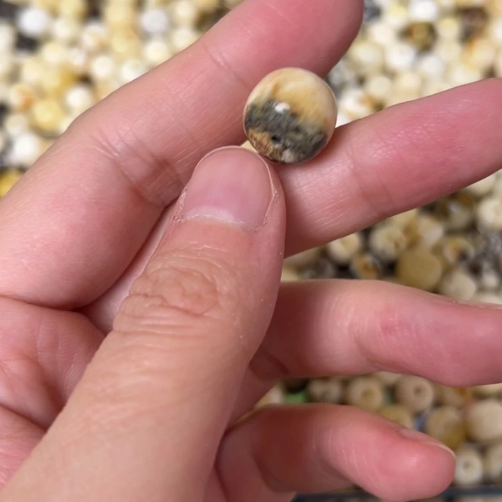 蜜蜡未镶嵌裸石12.7mm一个