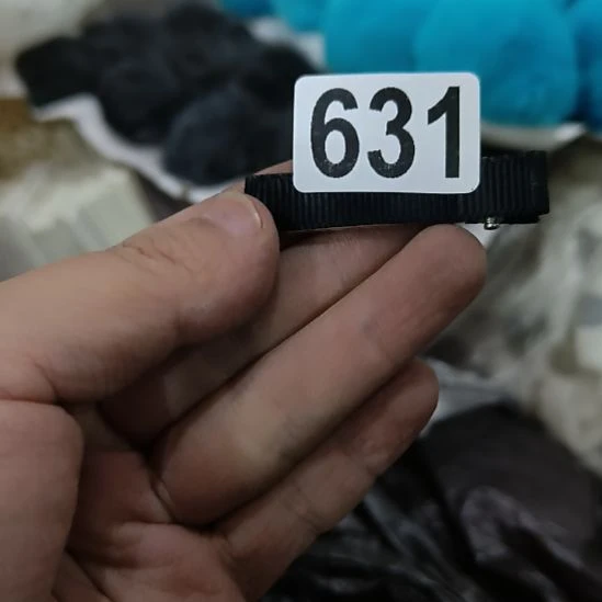 蝶***诺631%88888888888888