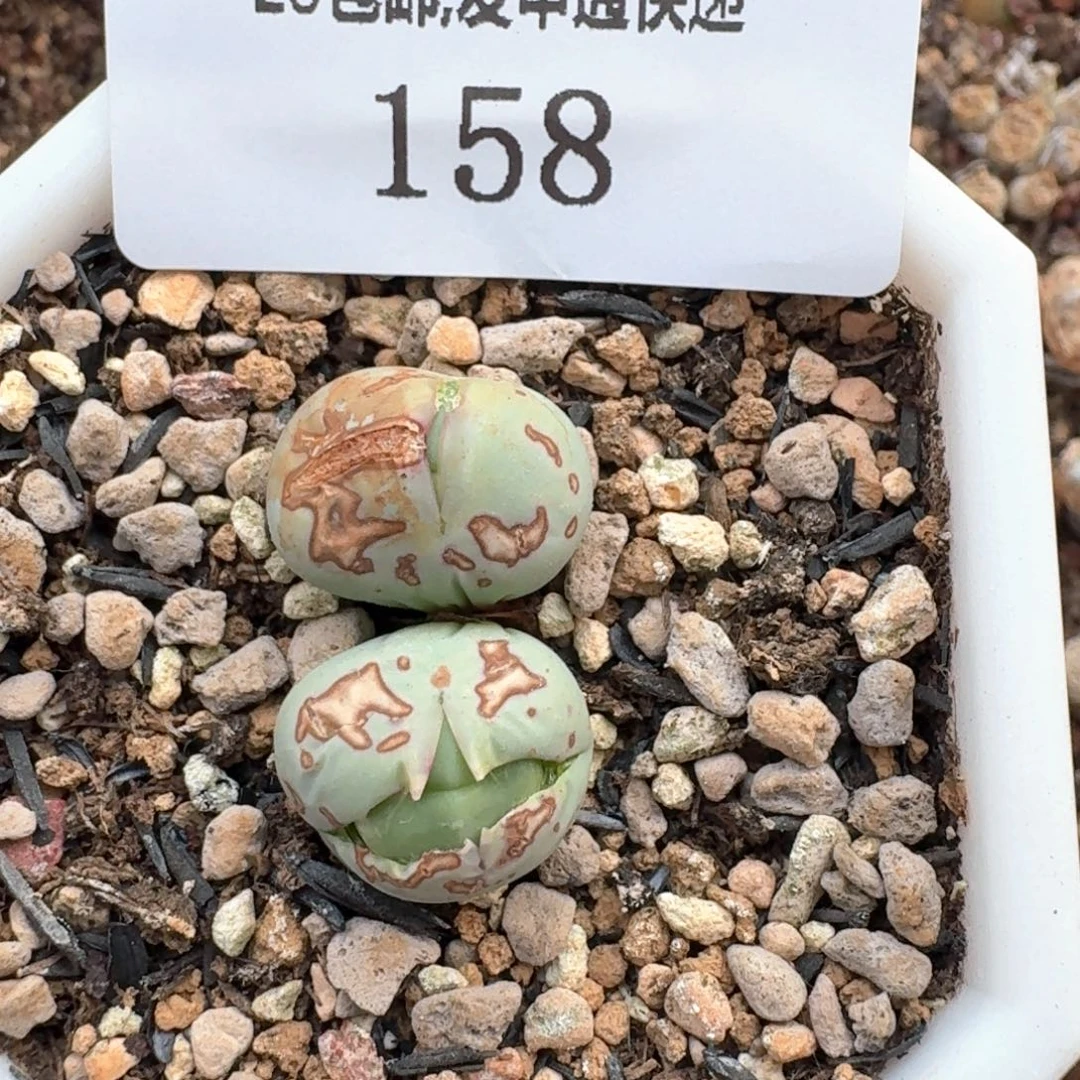 158。