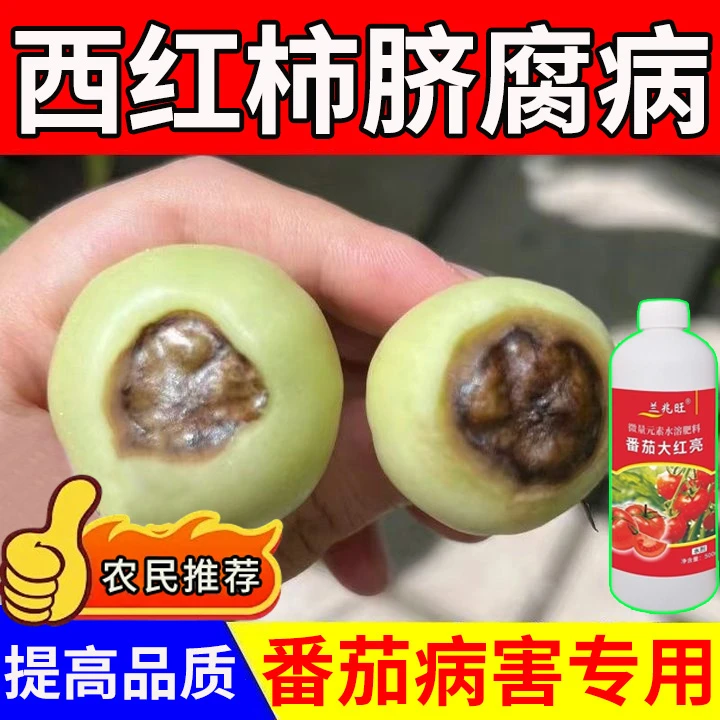 西红柿脐腐病专用肥料急救番茄脐腐病病毒病卷叶病西红柿水溶肥料