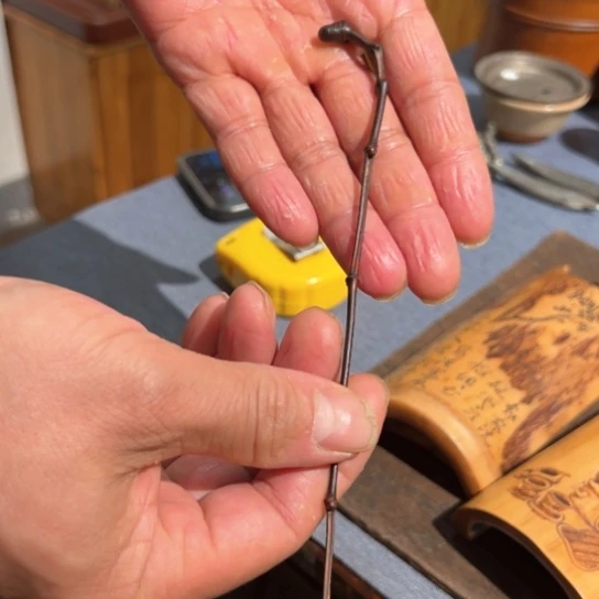 C*y茶拨茶香之韵之精华在我