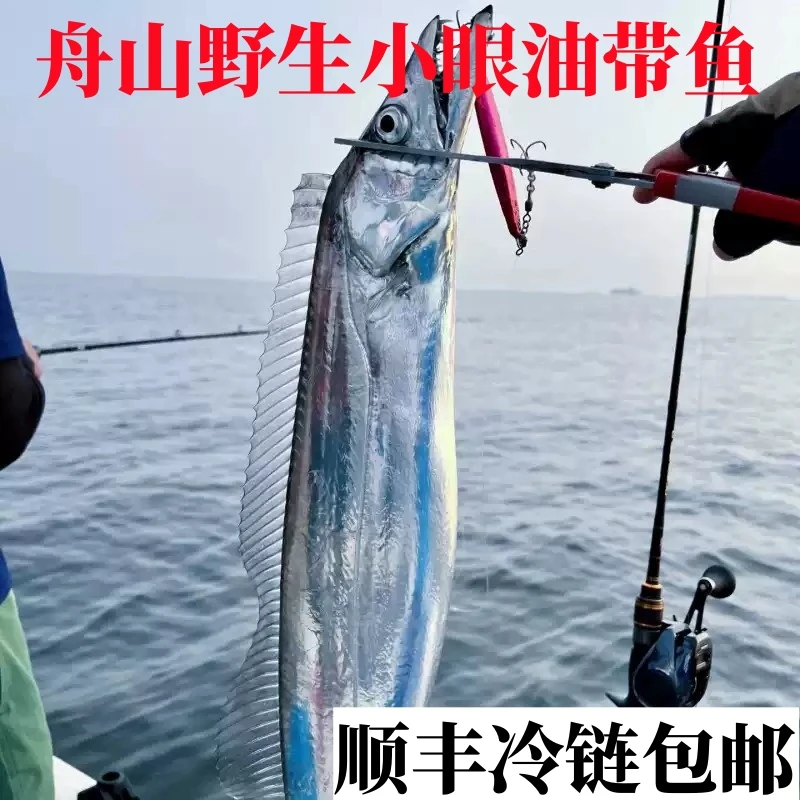 正宗舟山特大带鱼礼盒装整条新鲜冷冻小眼野生带鱼无甲醛